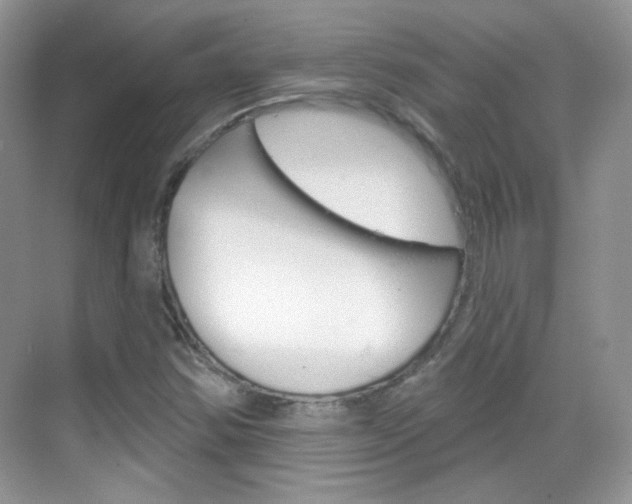 X0000069401354200605121012