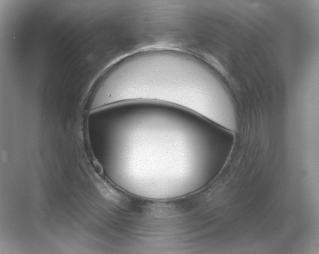 X0000069401356200605121012