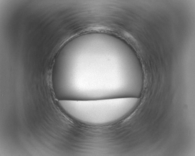X0000069401361200605121012