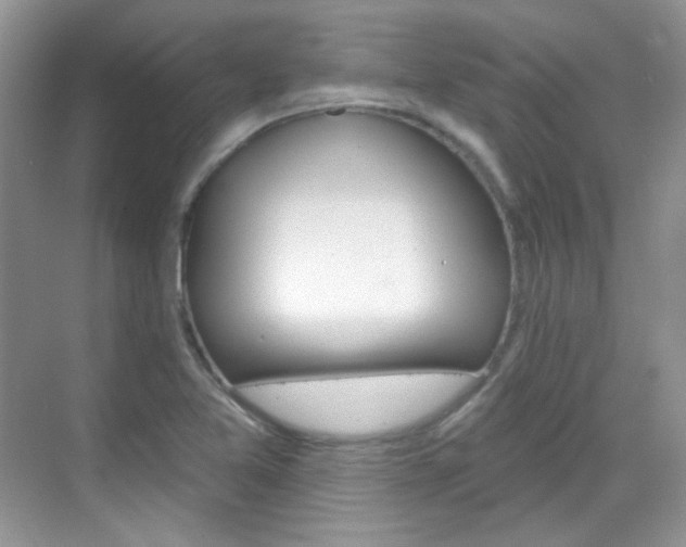 X0000069401365200605121012