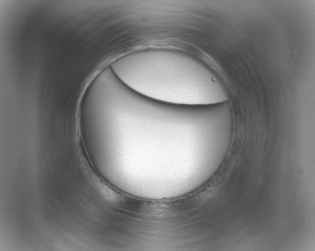 X0000069401370200605121012