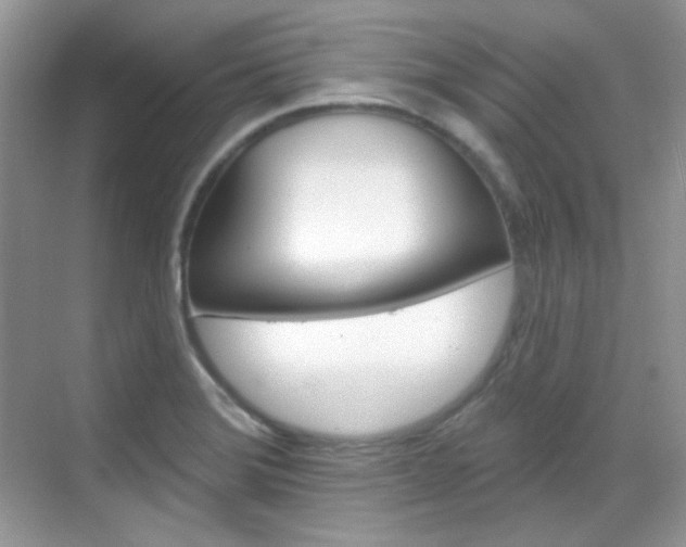 X0000069401372200605121012