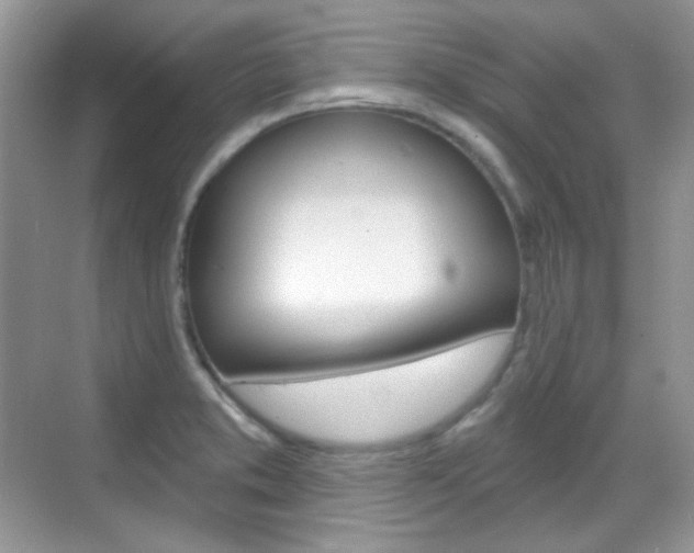 X0000069401373200605121012