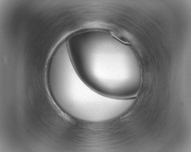X0000069401376200605121012