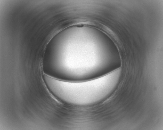 X0000069401377200605121012