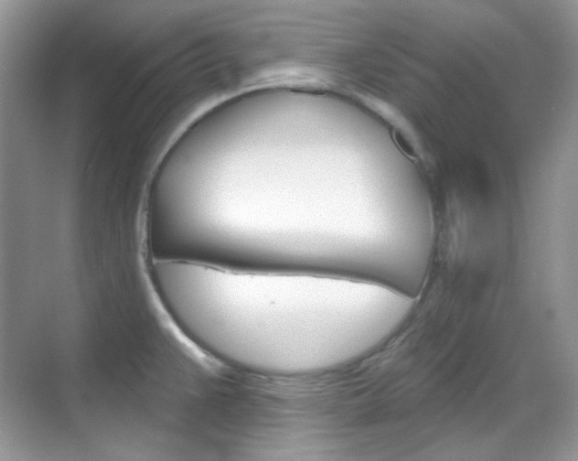 X0000069401383200605121012