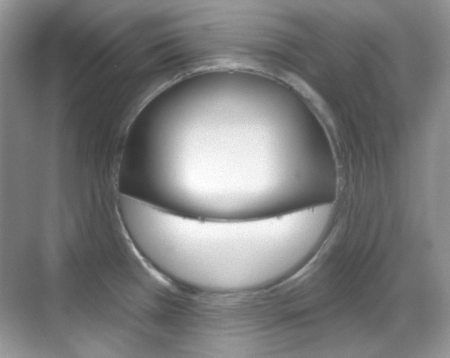 X0000069401385200605121012