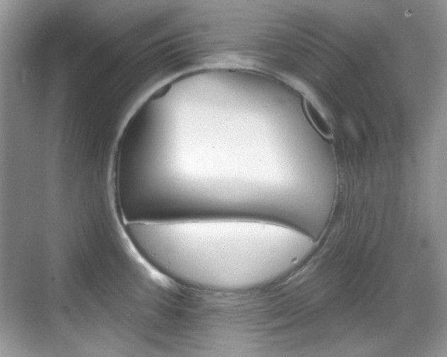 X0000069401387200605121012
