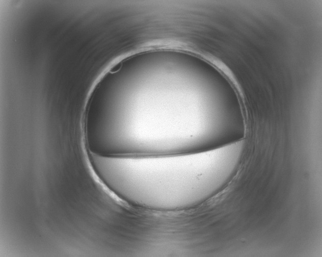 X0000069401389200605121012