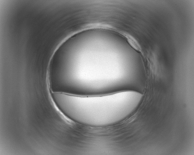 X0000069401391200605121012