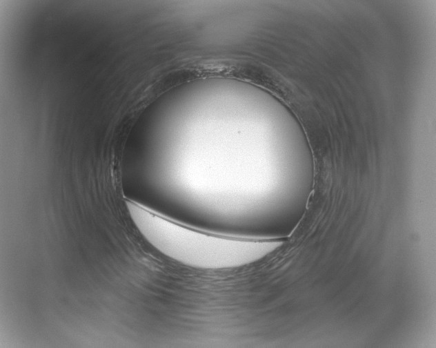 X0000069401394200605121011