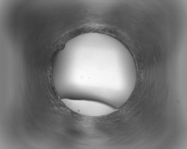 X0000069401397200605121011
