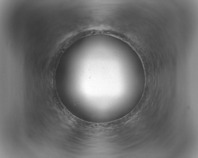 X0000069401398200605121011
