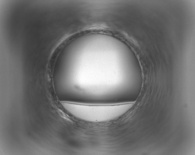 X0000069401400200605121011
