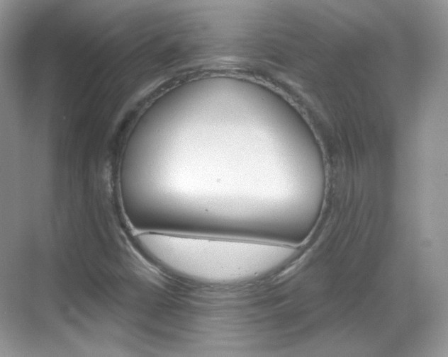 X0000069401402200605121011