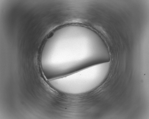 X0000069401404200605121011
