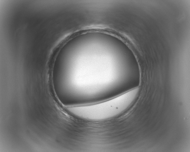X0000069401406200605121011