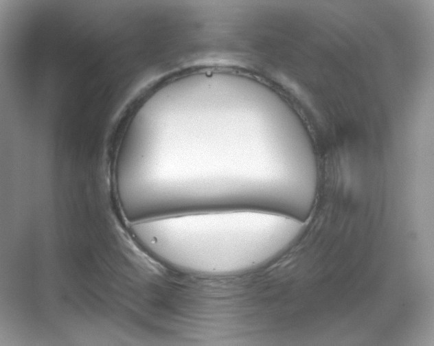 X0000069401408200605121011