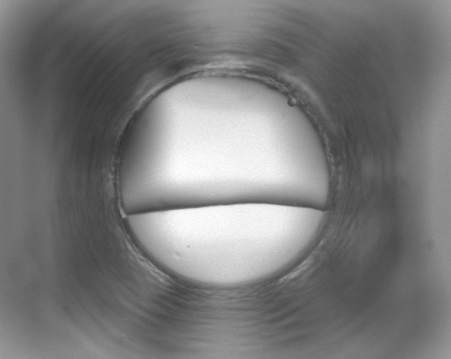 X0000069401409200605121011