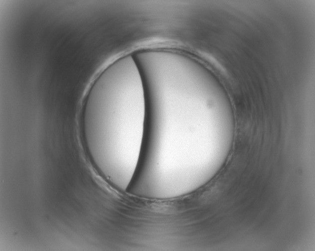 X0000069401413200605121011