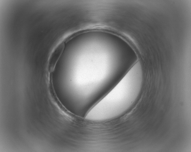 X0000069401414200605121011