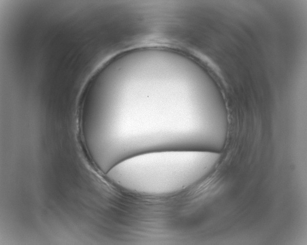 X0000069401415200605121011