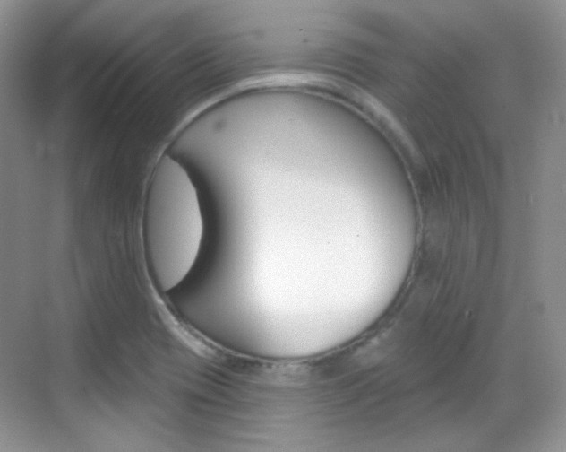 X0000069401417200605121011