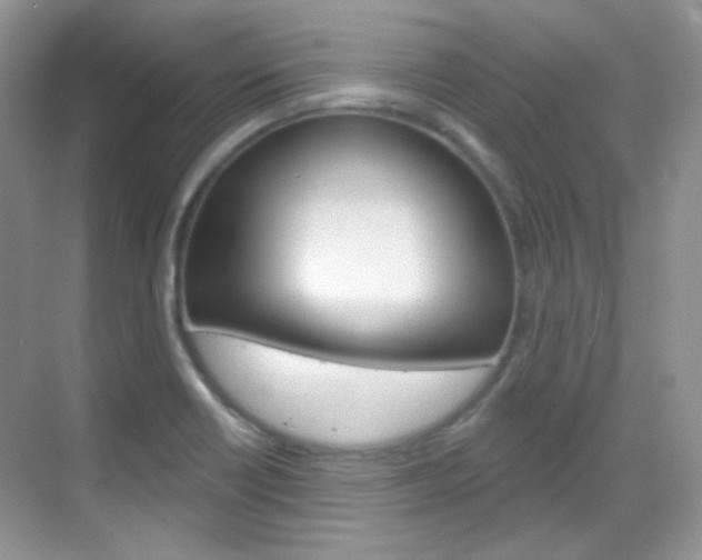 X0000069401418200605121011