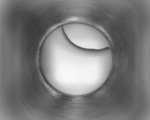 X0000069401421200605121011