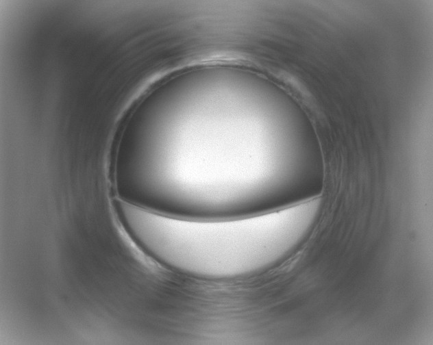 X0000069401422200605121011