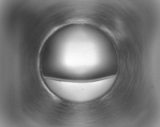 X0000069401424200605121011