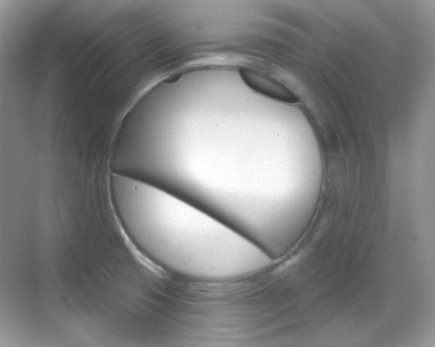 X0000069401425200605121011