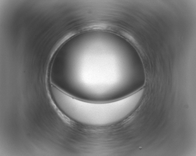 X0000069401426200605121011