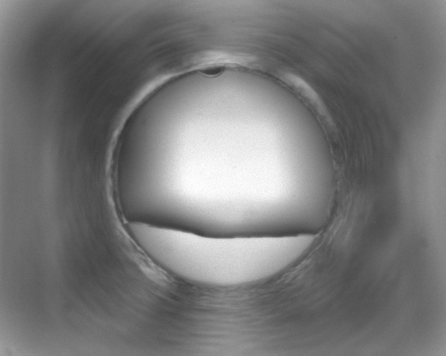 X0000069401427200605121011