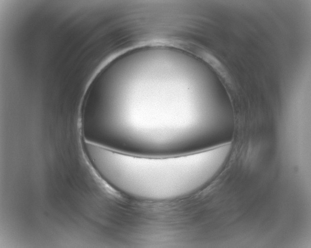 X0000069401428200605121011