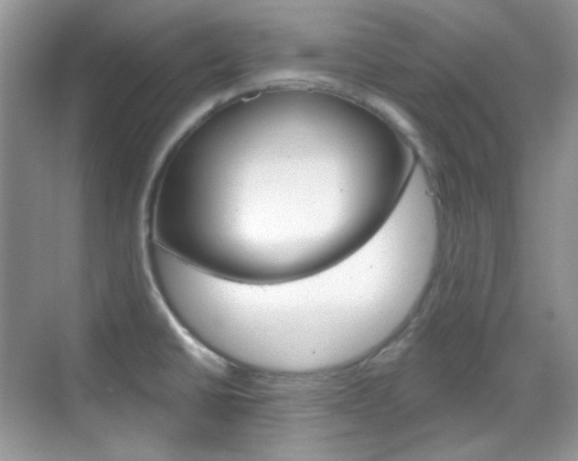 X0000069401430200605121011