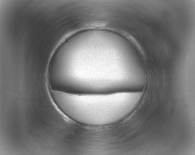 X0000069401432200605121012