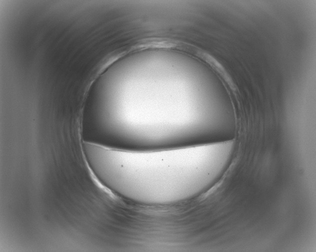 X0000069401433200605121012