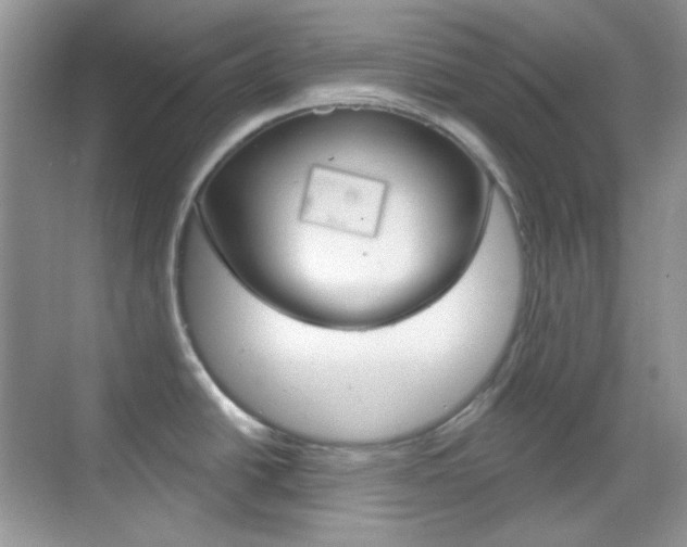X0000069401438200605121012
