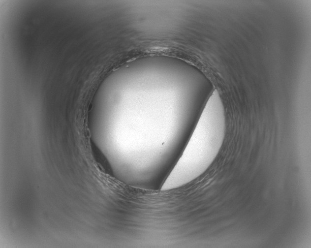 X0000069401441200605121011