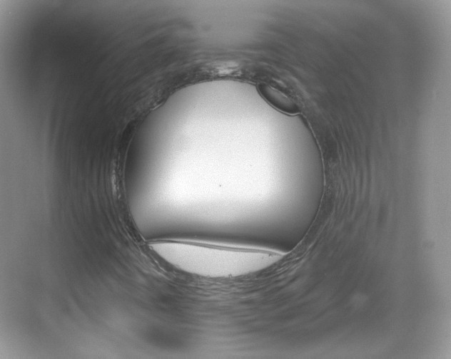 X0000069401442200605121011