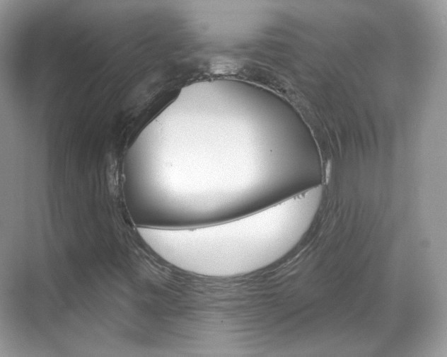 X0000069401443200605121011