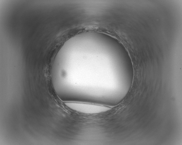 X0000069401445200605121011