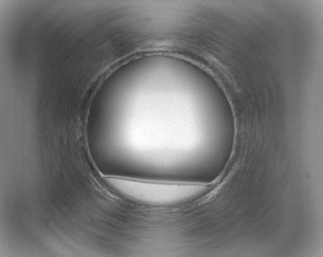 X0000069401449200605121011