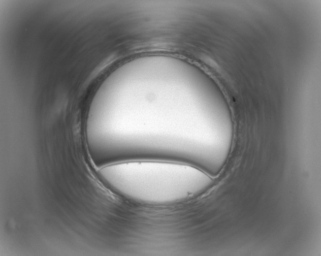X0000069401450200605121011
