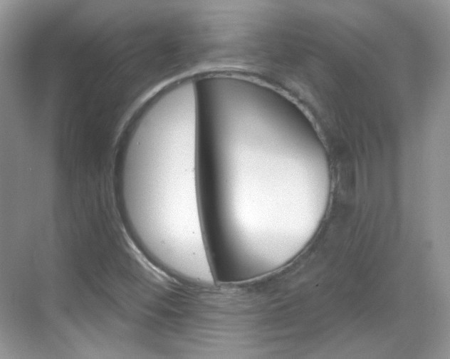 X0000069401452200605121011