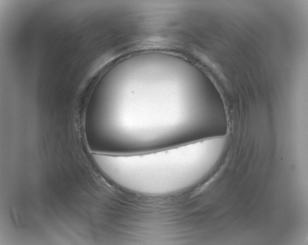X0000069401453200605121011