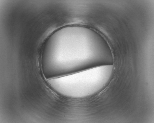 X0000069401455200605121011
