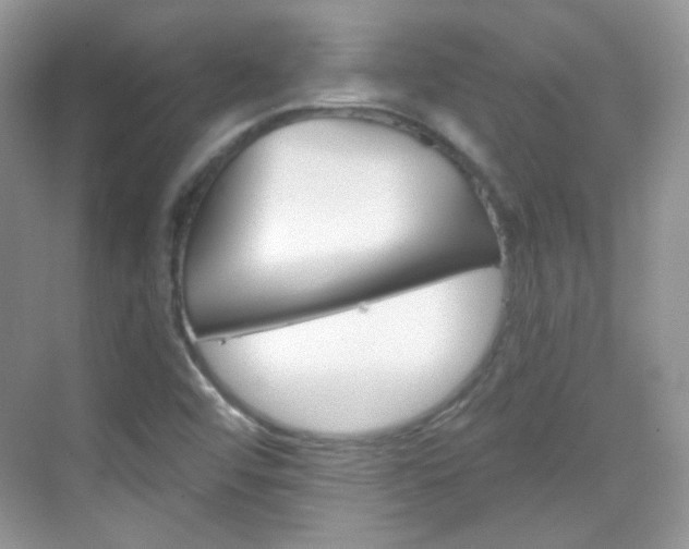 X0000069401456200605121011