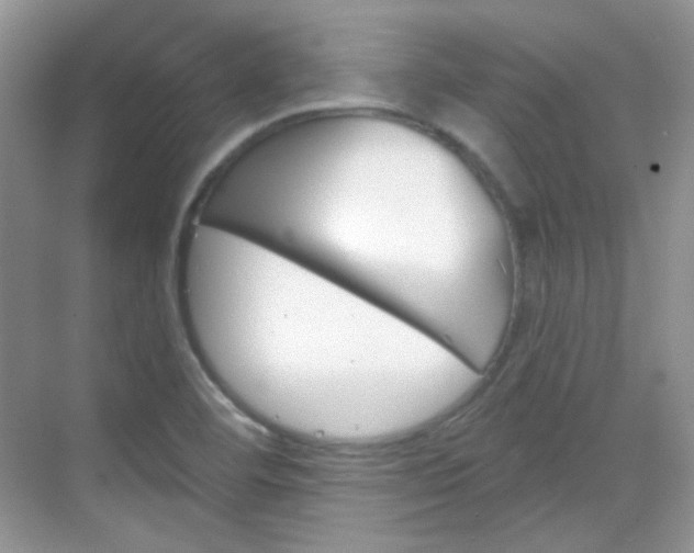 X0000069401460200605121011